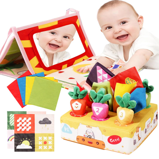 Sensory Montessori Toys Set for Babies 0-14 Months